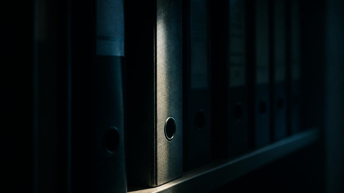 Low light catching a thin layer of dust along the spine of a ring binder on an office shelf.