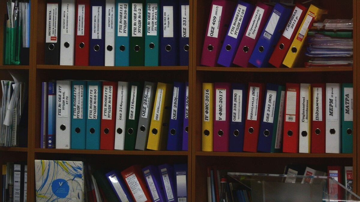 Shelves of labelled ring binders holding paper files in an office.